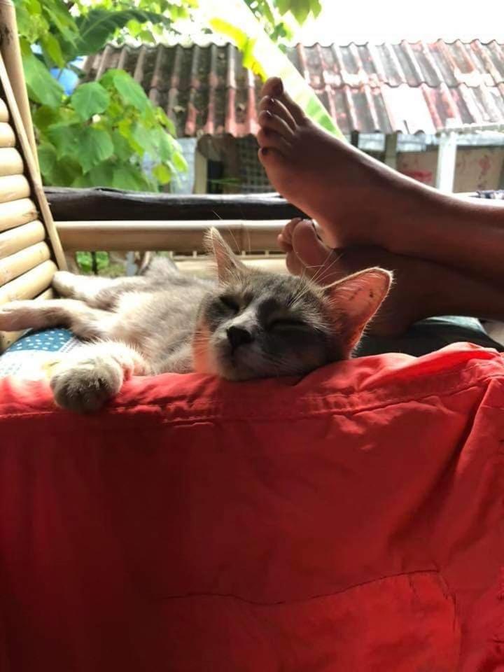 Angel Lanta Bungalow Ko Lanta Buitenkant foto